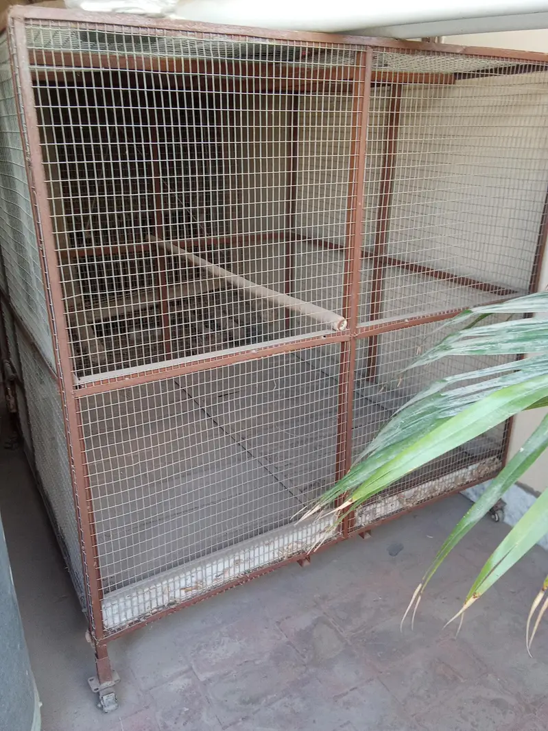 Iron Cages — photo 2