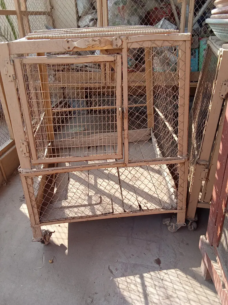 Iron Cages — photo 4
