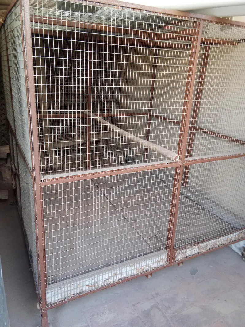 Iron Cages — photo 6