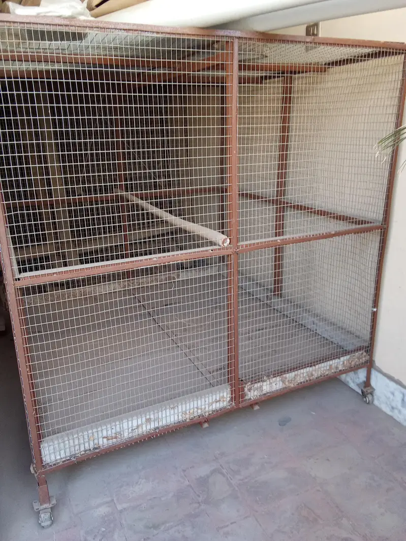 Iron Cages — photo 7