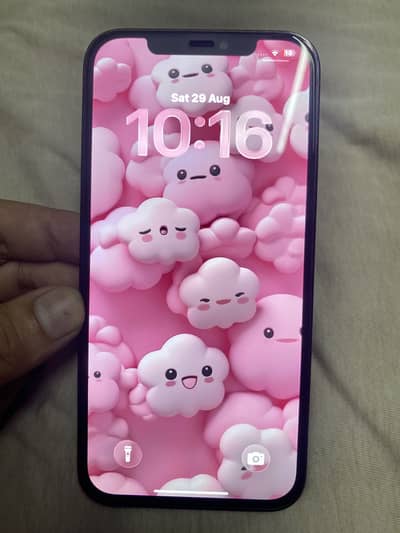 iPhone 12 Pro Max 256 JV Nonpta