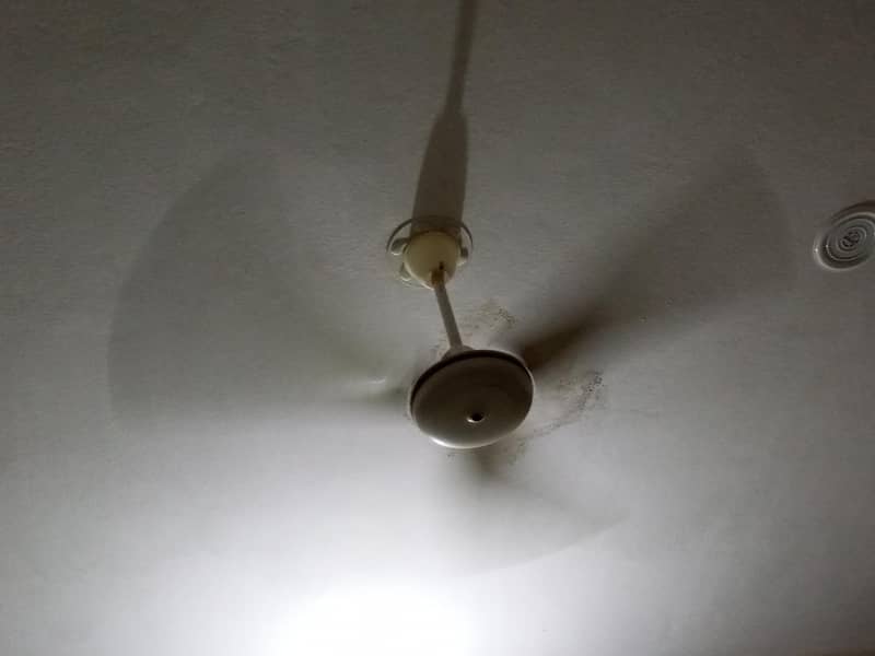 Ceiling Fan 1