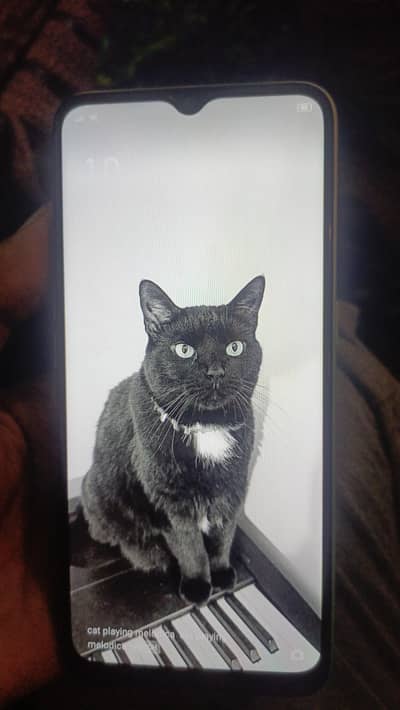 oppo A31