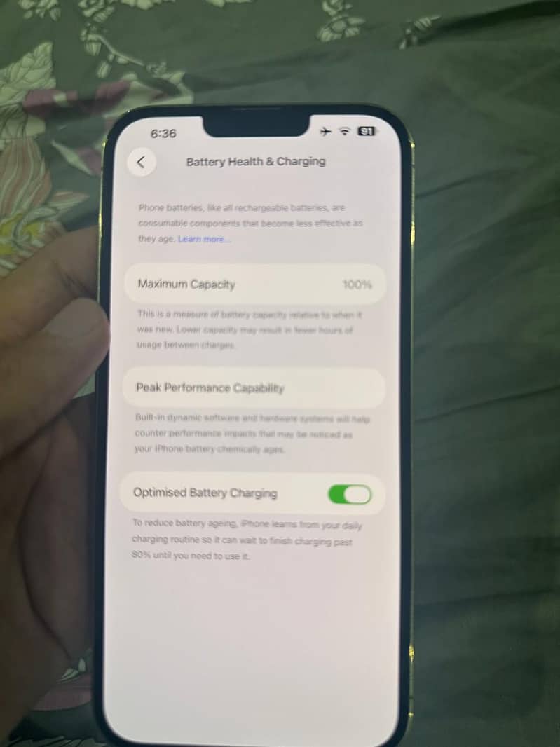 Apple iPhone 13 Pro Max 1