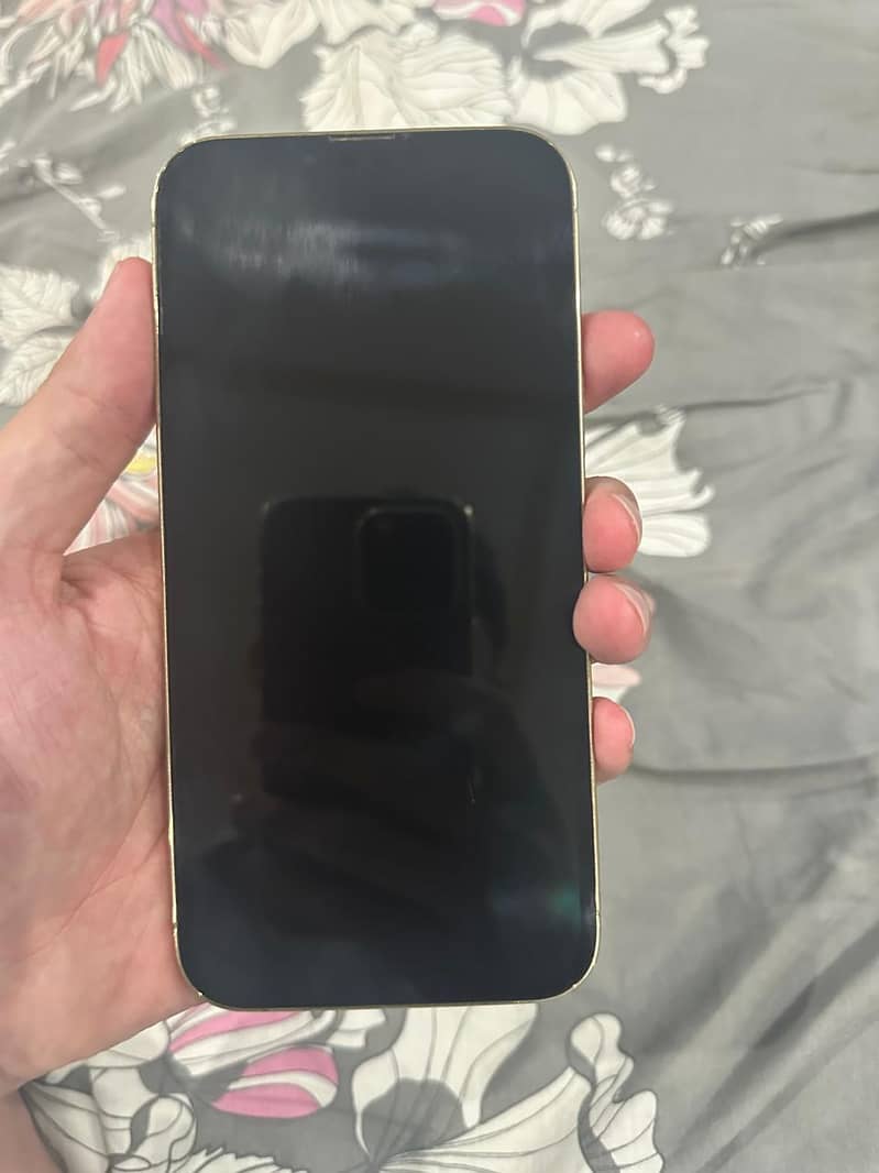 Apple iPhone 13 Pro Max 5