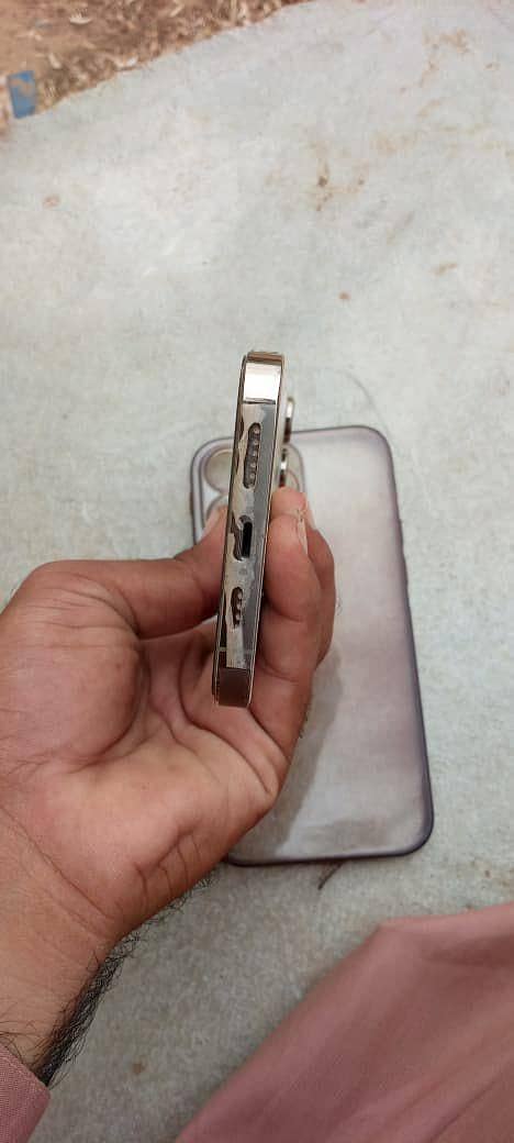 Apple iPhone 14 Pro Max 1