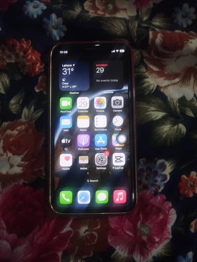 Apple iPhone X