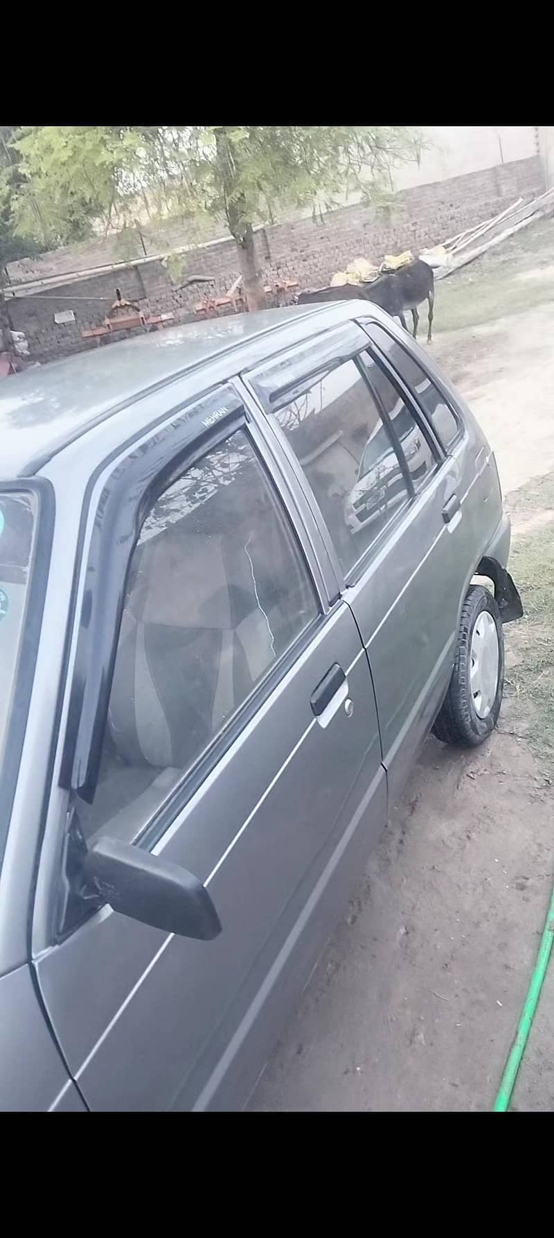 mehran 1