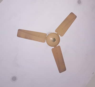 ceiling fan for sale