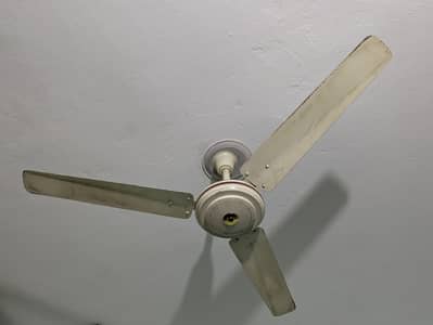 Sufi fan