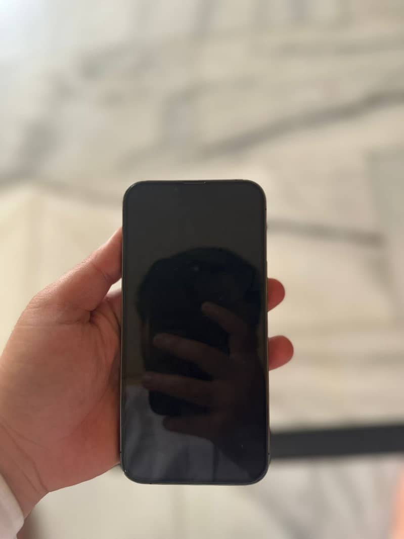 Apple iPhone 13 Pro Max 3