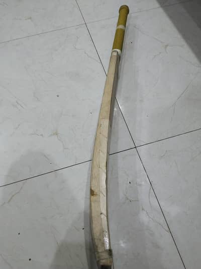 cricket bat coconut bat
