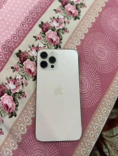 Apple iPhone 12 Pro Max