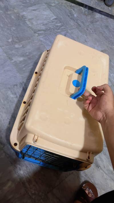 URGENT SALE Persians Cat house for Sale with Cat food Tray