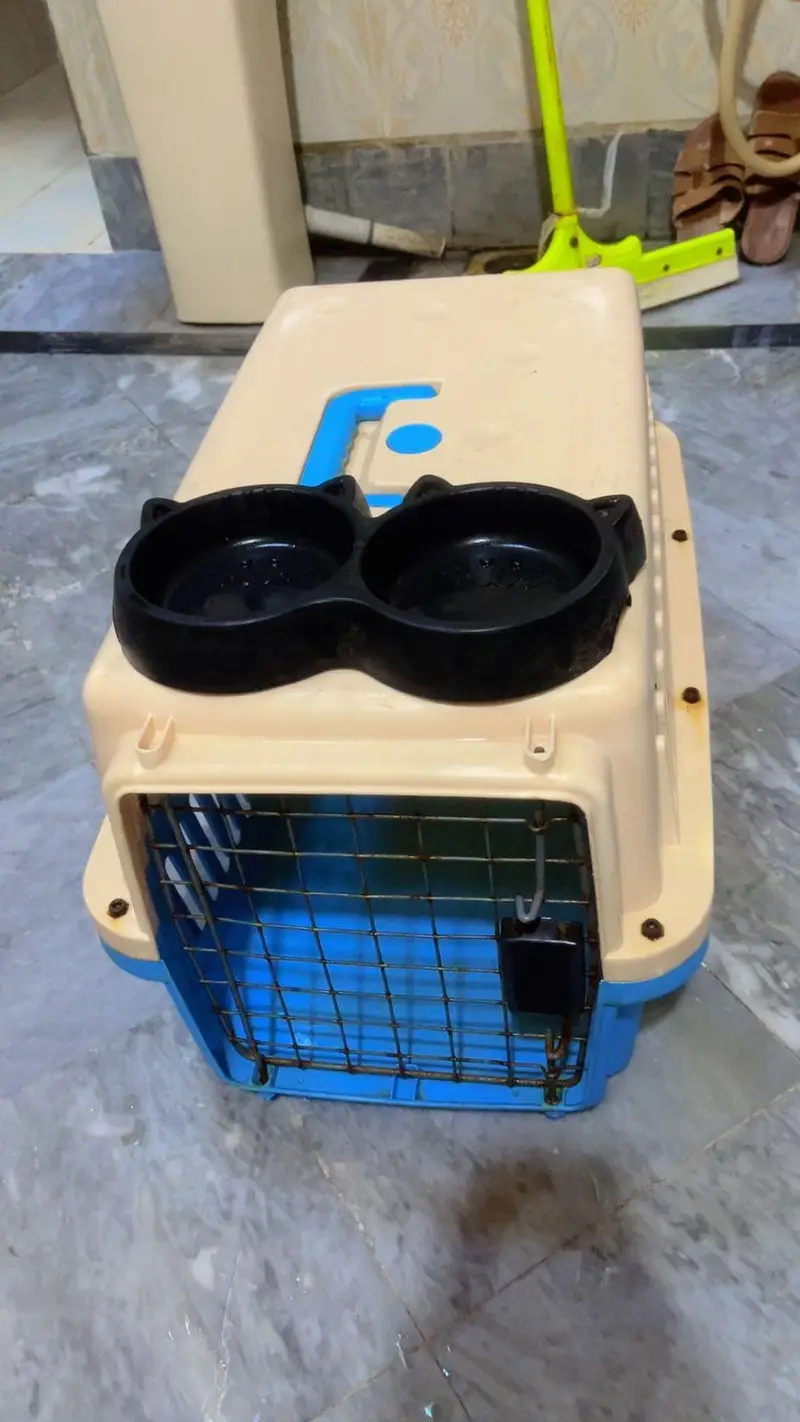 URGENT SALE Persians Cat house for Sale with Cat food Tray — photo 3