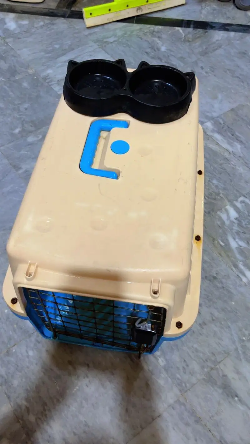 URGENT SALE Persians Cat house for Sale with Cat food Tray — photo 4
