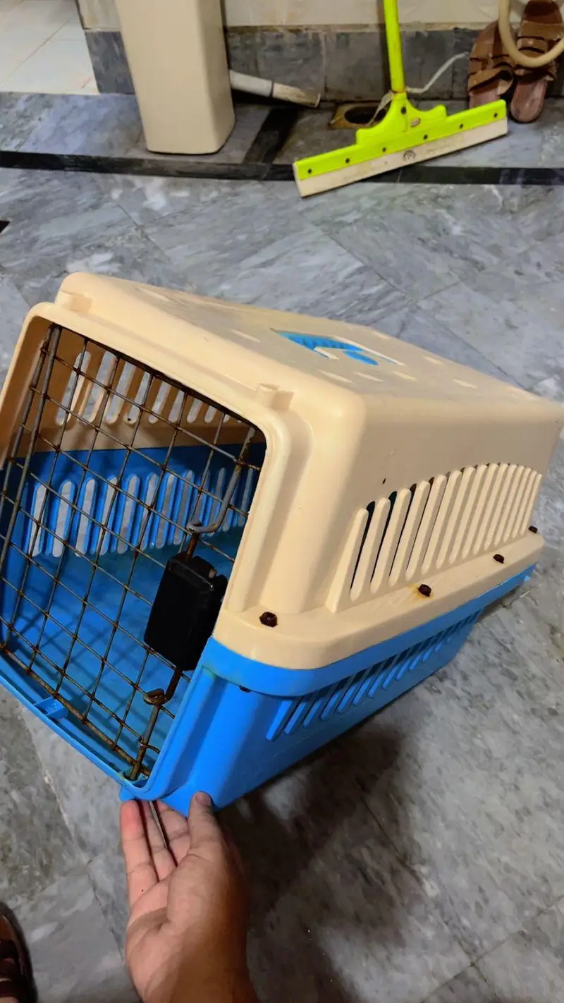 URGENT SALE Persians Cat house for Sale with Cat food Tray — photo 5