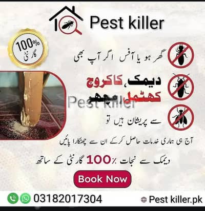 Pest killer & Pest control services