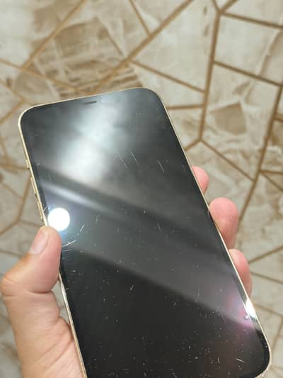 Apple iPhone 12 Pro Max