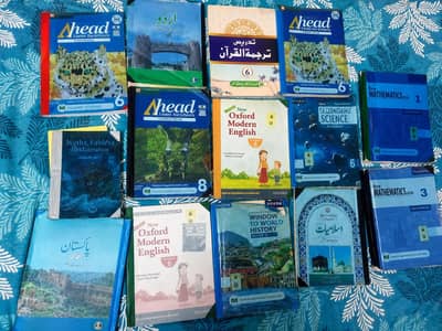 APS Grade 6 all books