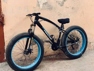 Fat tyre bicycle
