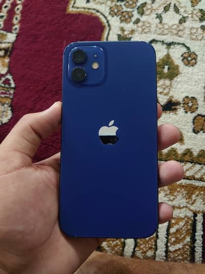 Apple iPhone 12