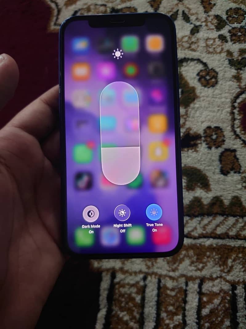 Apple iPhone 12 1