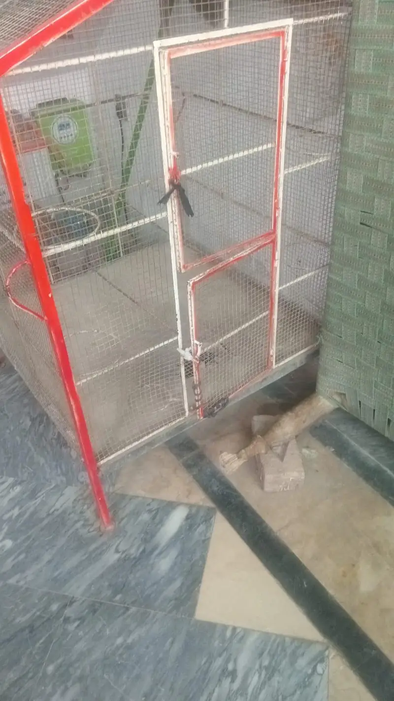 cage for sale — photo 2
