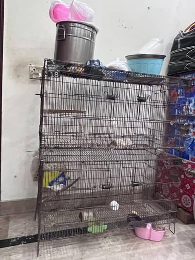 bird cages for parrots