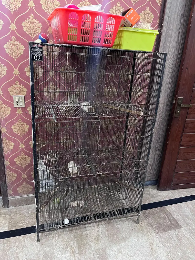 bird cages for parrots — photo 2