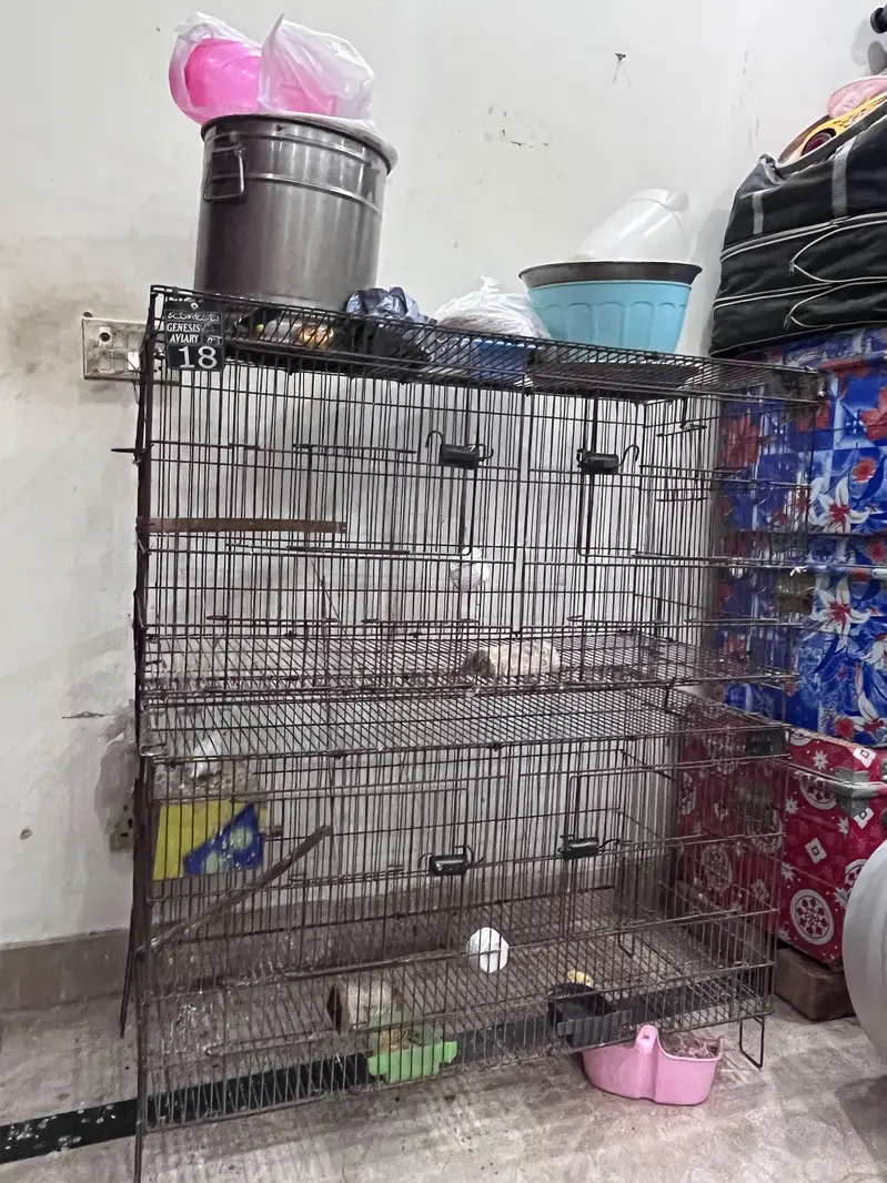 bird cages for parrots — photo 4