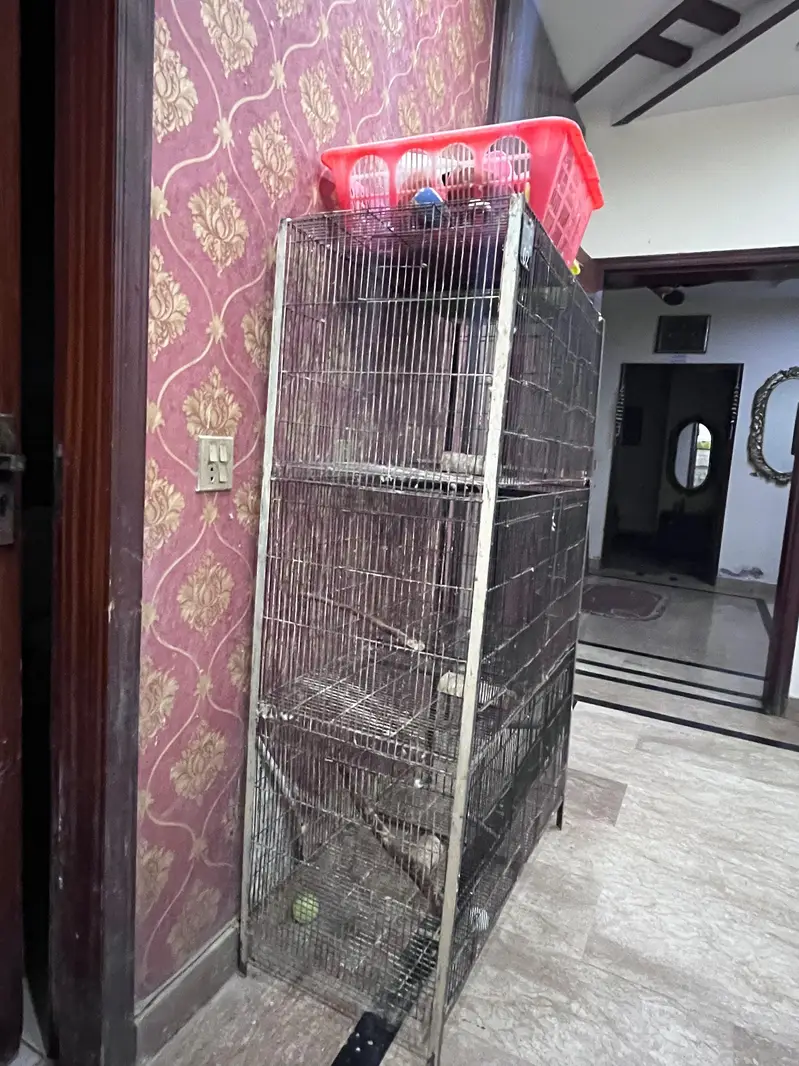 bird cages for parrots — photo 5