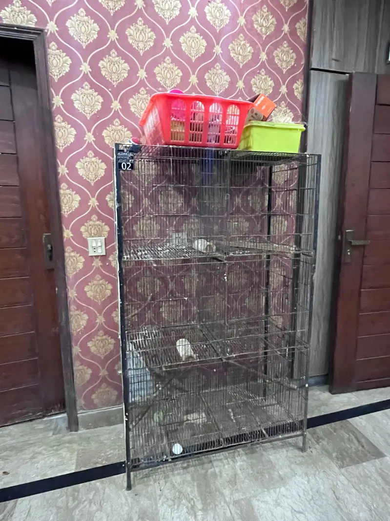 bird cages for parrots — photo 6