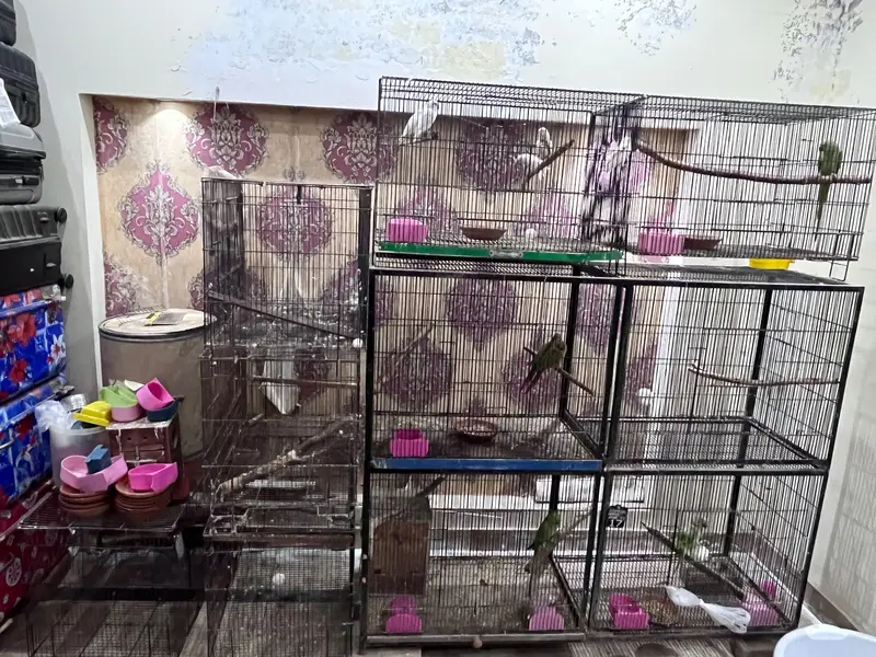 bird cages for parrots — photo 7