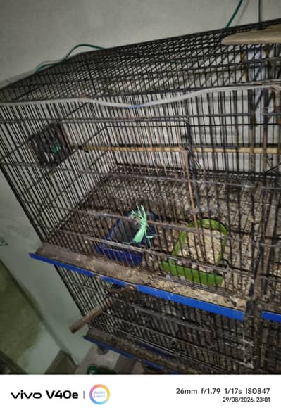 cage 4foor lambai or 3 foot onchai