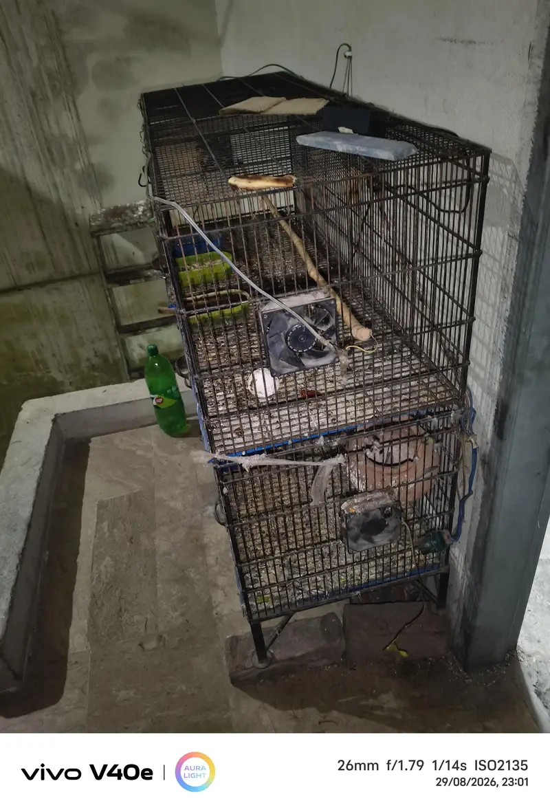 cage 4foor lambai or 3 foot onchai — photo 2