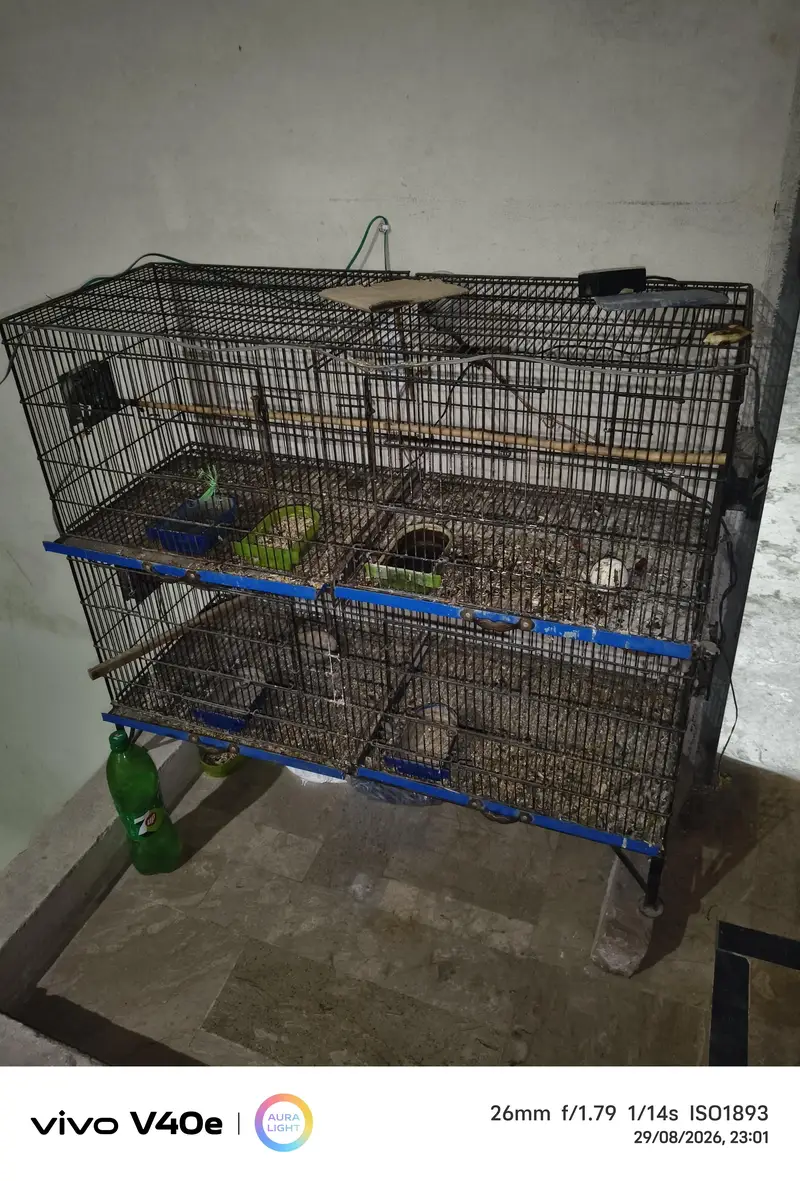cage 4foor lambai or 3 foot onchai — photo 3