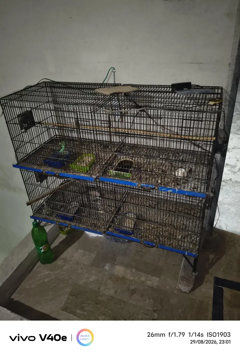cage 4foor lambai or 3 foot onchai — photo 4