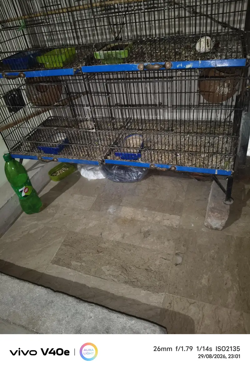 cage 4foor lambai or 3 foot onchai — photo 5
