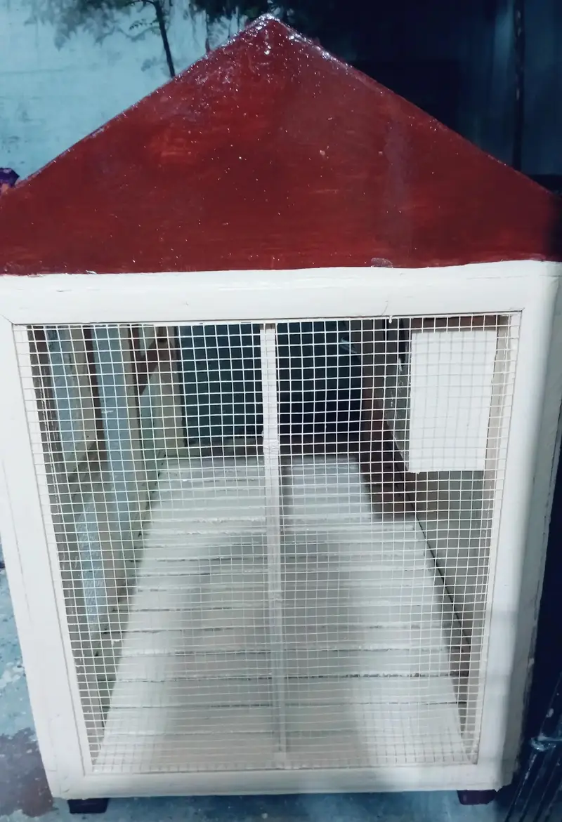 Beautiful, Fancy & Strong Wooden Cage — photo 2