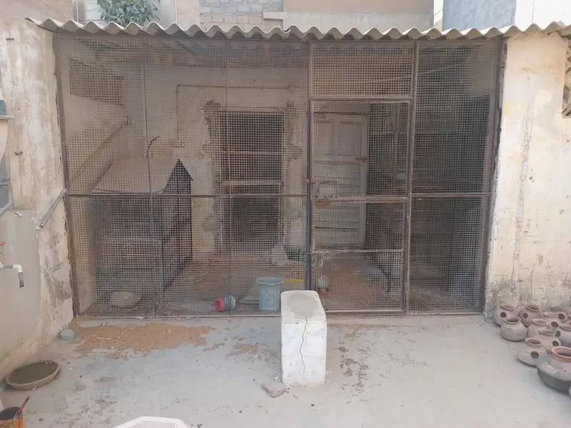 Angle iron frame for Master Cage — photo 2