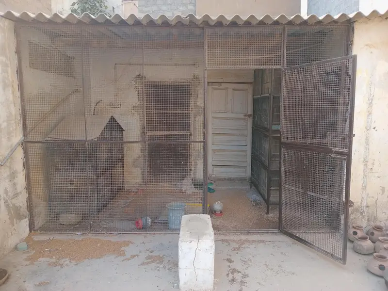 Angle iron frame for Master Cage — photo 3