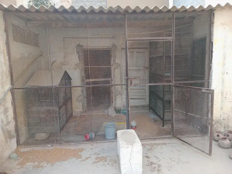 Angle iron frame for Master Cage — photo 4