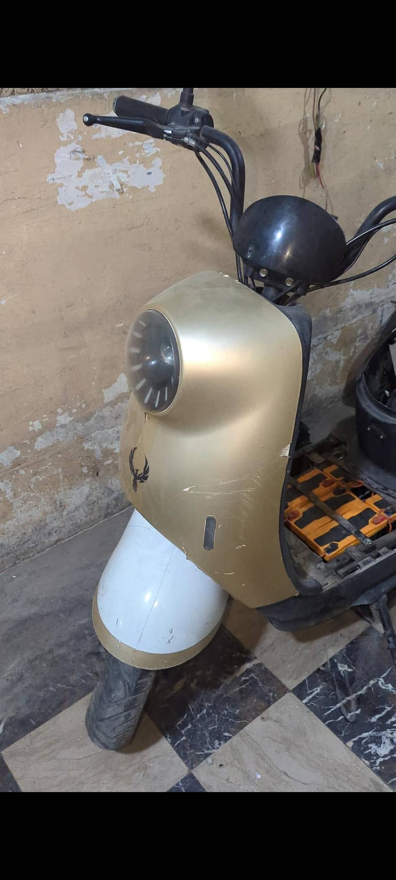 miniso Scooty 5