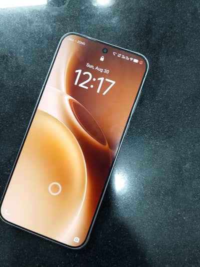 Vivo X300 Pro