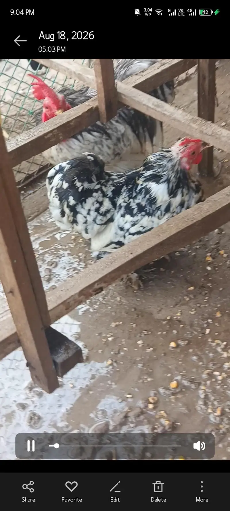 for sale ha video mil jaye gyee age 14 months ha — photo 3