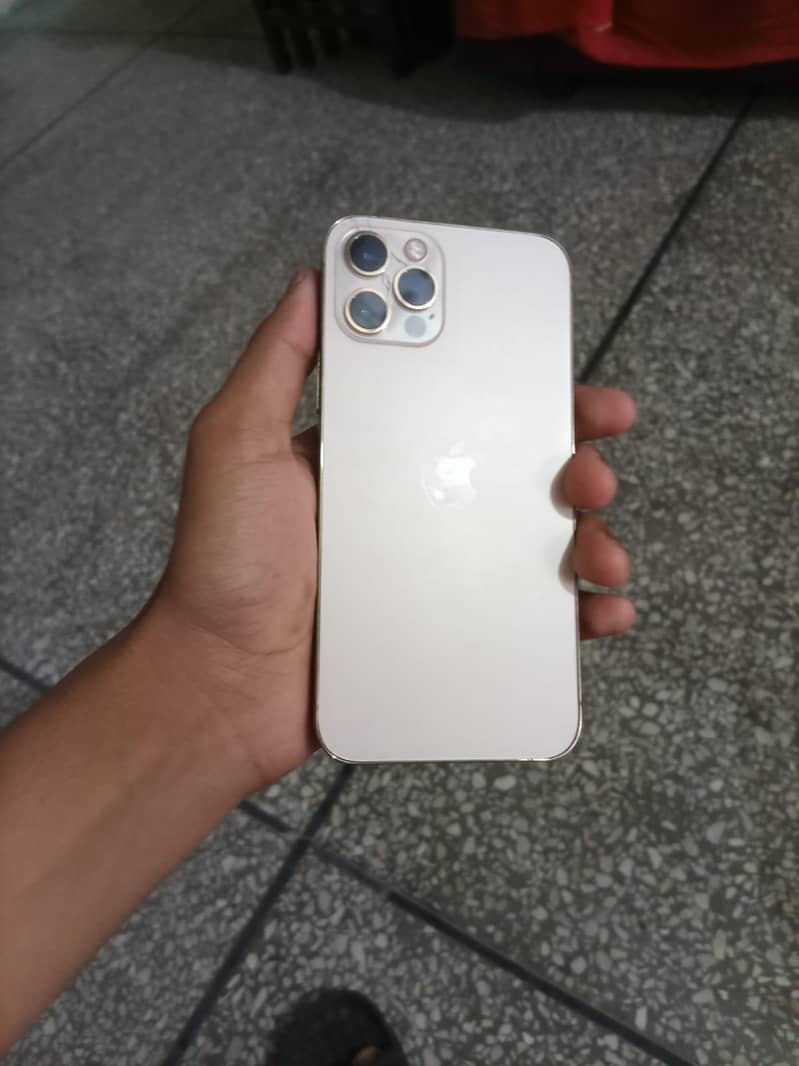 Apple iPhone 12 Prot 1