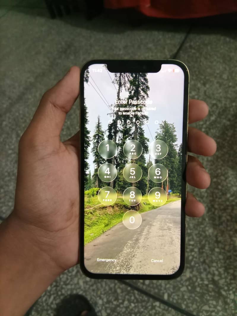Apple iPhone 12 Prot 4