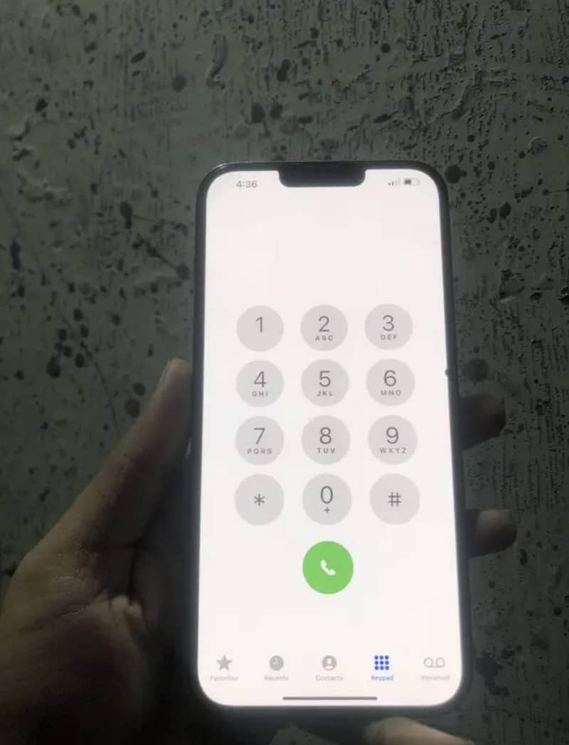 Apple iPhone 13 Pro Max 1
