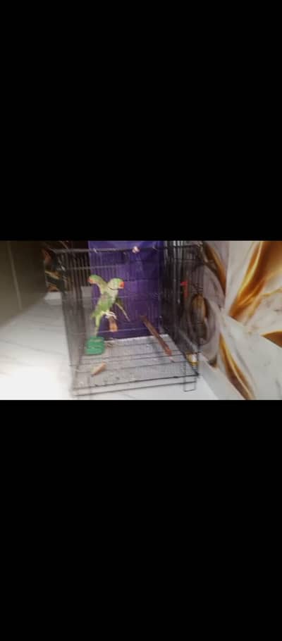 cage for sale